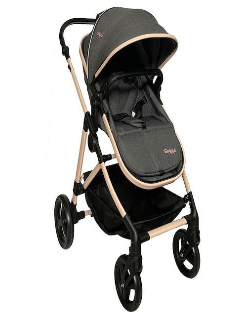 Carriola reversible plegable 1