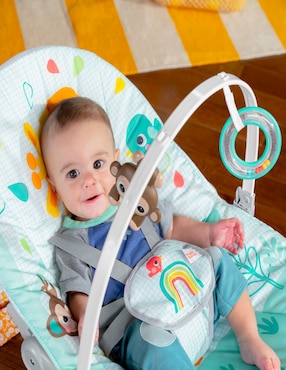 Columpio infantil Bright Starts