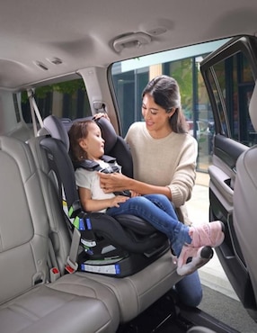 Autoasiento convertible Britax Poplar