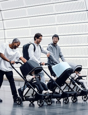 Carriola estándar Shine Thule de aluminio