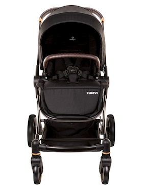 Carriola estándar Safety 1St plegable