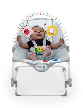 Bouncer Baby Einstein Seats