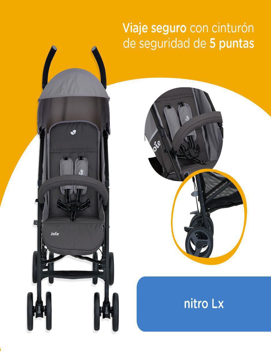 Carriola estándar plegable 2
