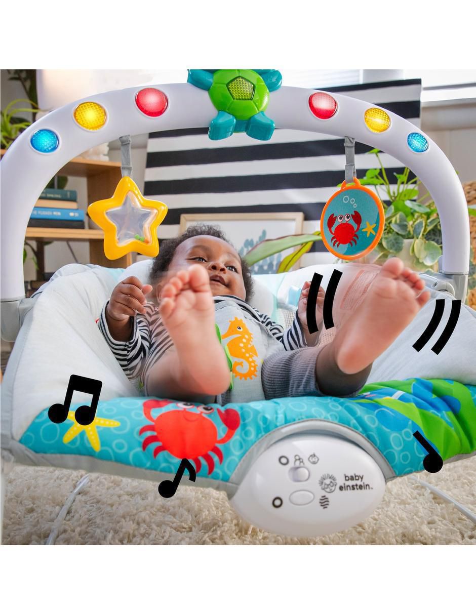 Bouncer Ocean Explorers 4