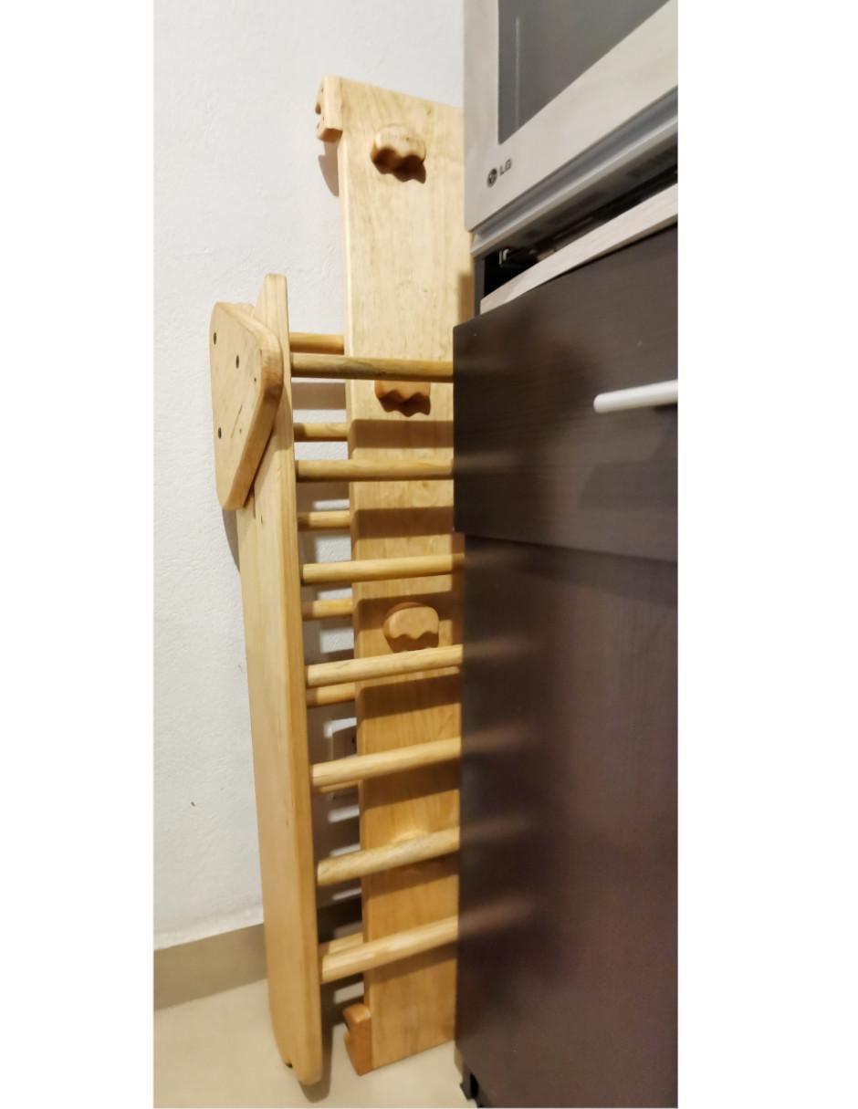 Triangulo pickler 4