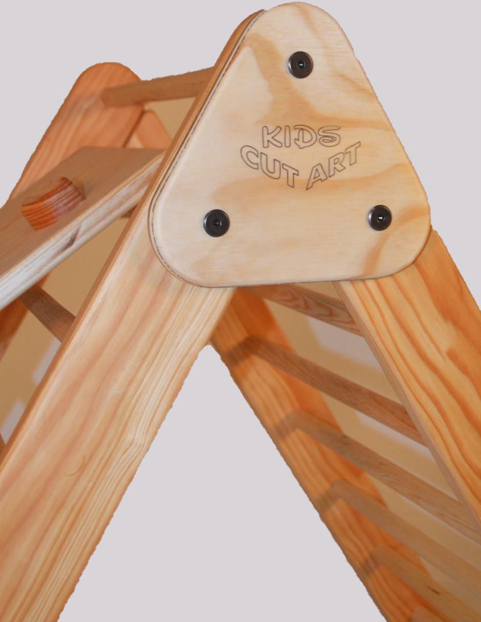 Triangulo pickler 5