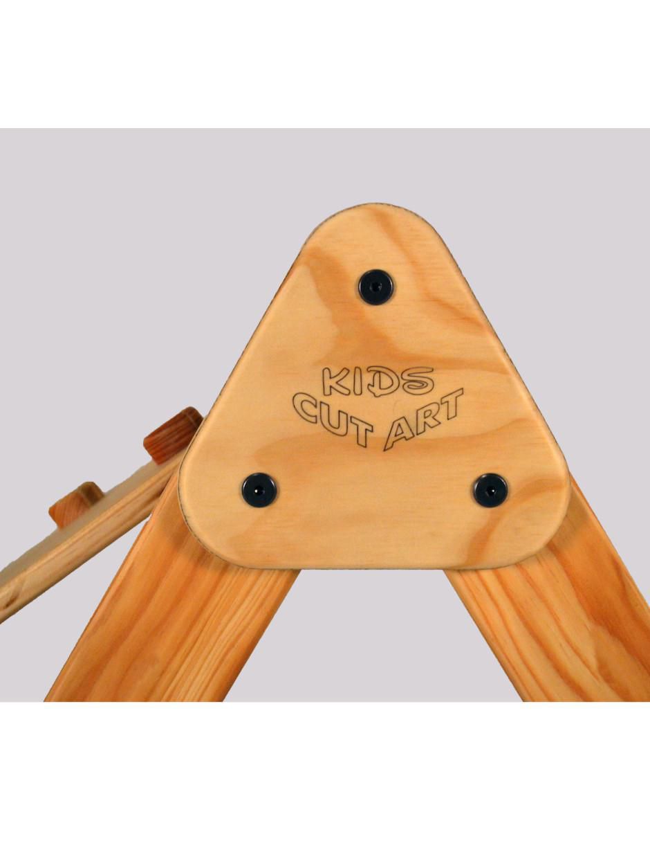 Triangulo pickler 6