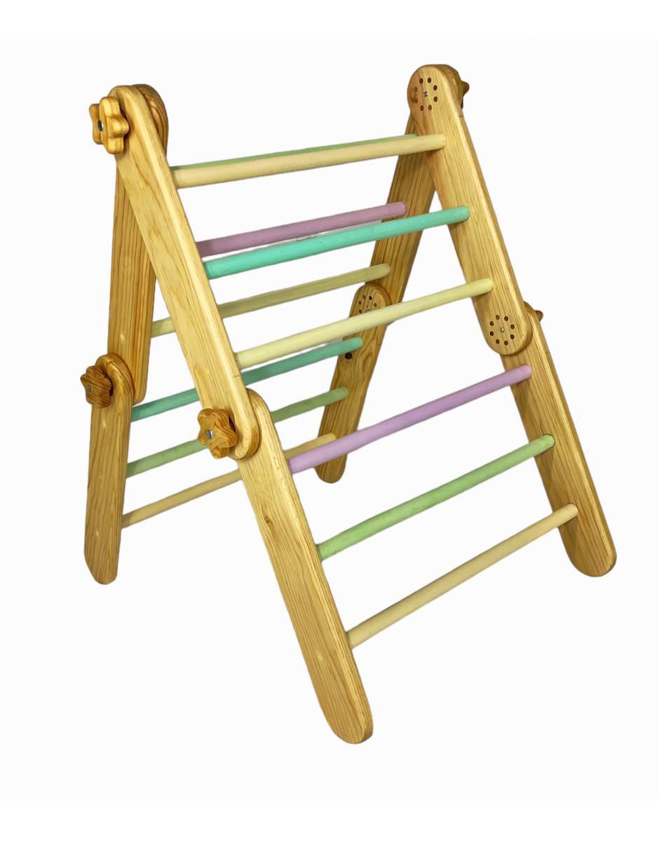 Triangulo pickler 6