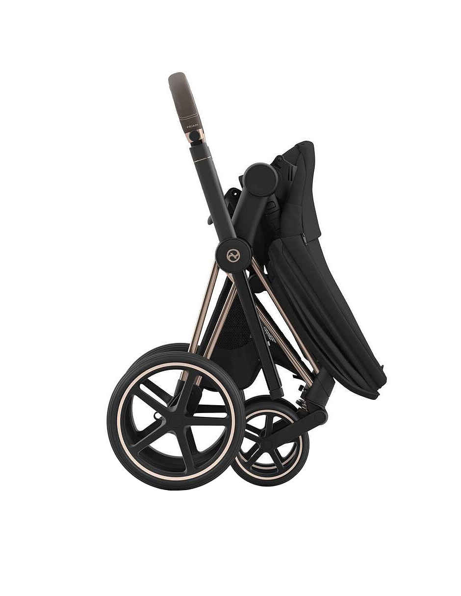 Set de carriola Priam Platinum plegable 3