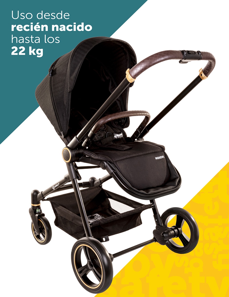Carriola estándar plegable 3