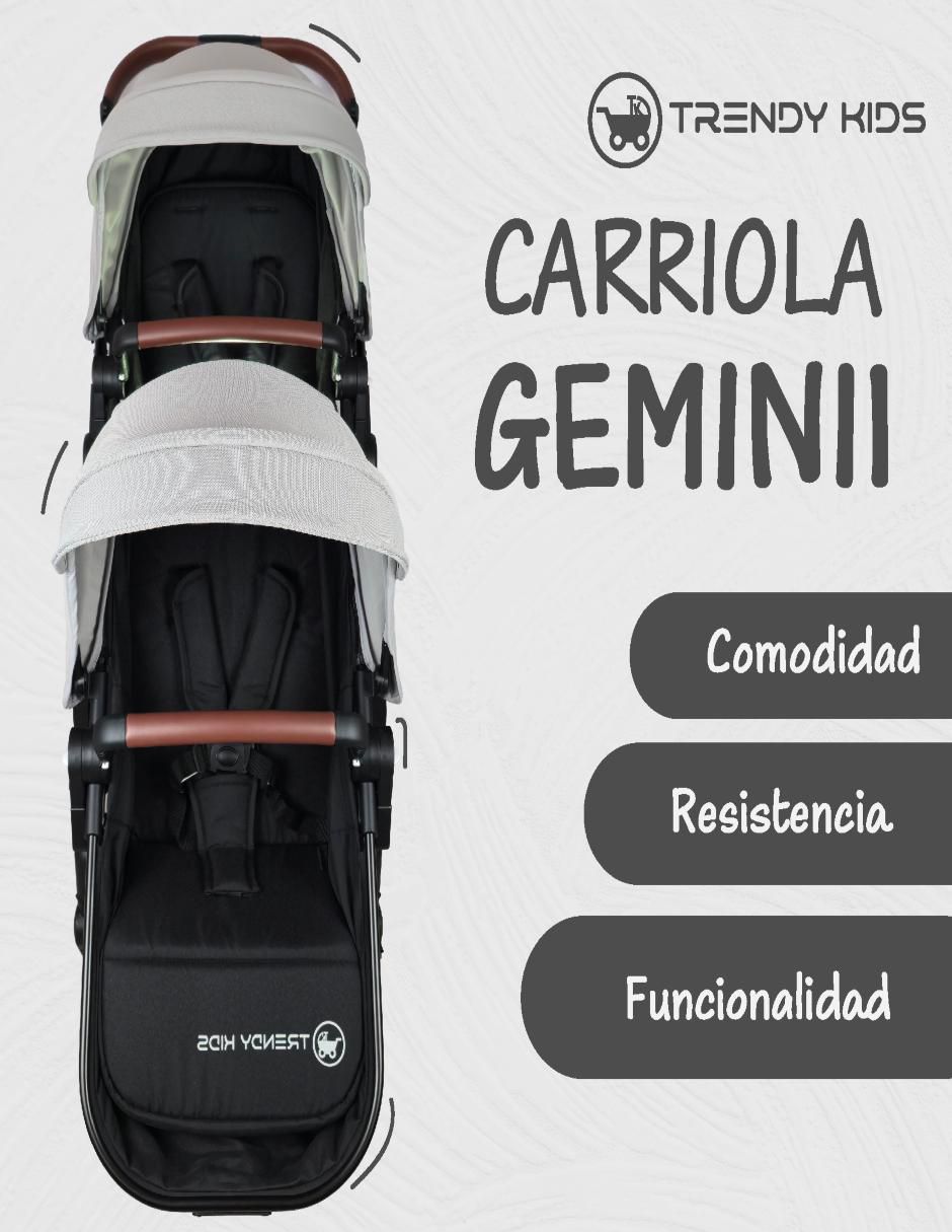 Carriola doble 3