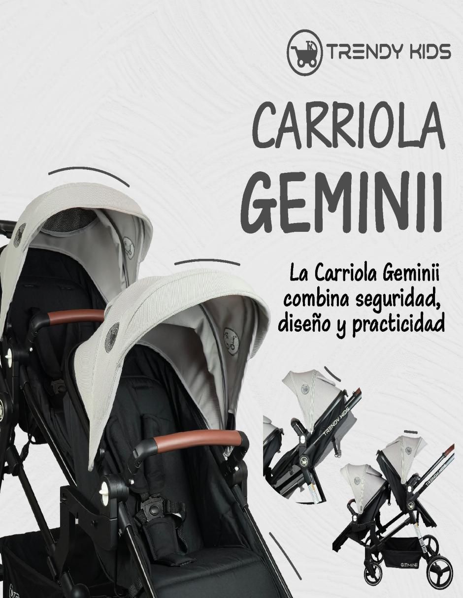Carriola doble 5